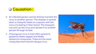 ➢ An infected person cannot directly transmit the
virus to another person. The disease is spread
when a mosquito feeds on a person with the
virus circulating in their blood. The mosquito
can pick up the virus and spread it to another
person through its bite.
➢ Chikungunya virus is most often spread to
people by Aedes aegypti and Aedes
albopictus mosquitoes. These are the same
mosquitoes that transmit dengue virus.
❏ Causation :
 