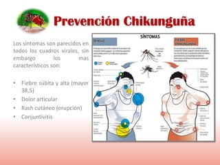 Prevención Chikunguña
Los síntomas son parecidos en
todos los cuadros virales, sin
embargo los mas
característicos son:
• Fiebre súbita y alta (mayor
38,5)
• Dolor articular
• Rash cutáneo (erupción)
• Conjuntivitis
 