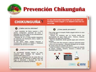 Prevención Chikunguña
 