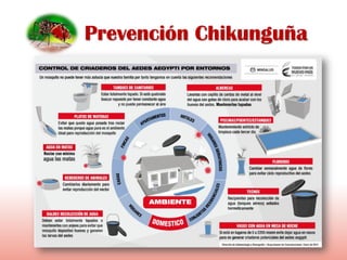 Prevención Chikunguña
 