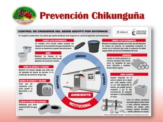 Prevención Chikunguña
 