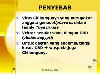 PENYEBAB
 Virus Chikungunya yang merupakan
  anggota genus Alphavirus dalam
  family Togaviridae
 Vektor penular sama dengan DBD
  (Aedes aegypti)
 Untuk daerah yang endemis/tinggi
  kasus DBD  waspada juga
  Chikungunya



           DR. Dr. Irene, MKM
 