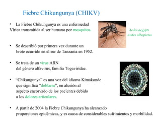 Chikungunya 14-4-2014 