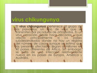 virus chikungunya 
 El virus chikungunya pertenece al grupo de 
los parvovirus, un tipo de virus que se 
transmiten por picaduras de artrópodos. Es un 
virus conocido desde hace décadas y que 
afecta principalmente a los países 
subdesarrollados donde no hay un registro 
del número de casos, aunque se estima que 
las personas afectadas llegan a millones en 
40 países diferentes de África. Sin embargo, 
se trata de una infección relativamente 
nueva en los países de Europa, América y 
Australia. 
 