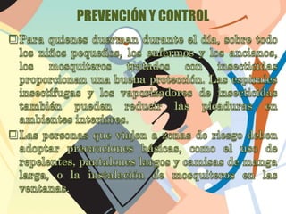 PREVENCIÓN Y CONTROL 
 