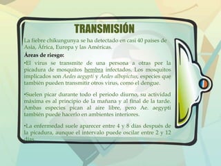 TRANSMISIÓN 
La fiebre chikungunya se ha detectado en casi 40 países de 
Asia, África, Europa y las Américas. 
Áreas de riesgo: 
•El virus se transmite de una persona a otras por la 
picadura de mosquitos hembra infectados. Los mosquitos 
implicados son Aedes aegypti y Aedes albopictus, especies que 
también pueden transmitir otros virus, como el dengue. 
•Suelen picar durante todo el periodo diurno, su actividad 
máxima es al principio de la mañana y al final de la tarde. 
Ambas especies pican al aire libre, pero Ae. aegypti 
también puede hacerlo en ambientes interiores. 
•La enfermedad suele aparecer entre 4 y 8 días después de 
la picadura, aunque el intervalo puede oscilar entre 2 y 12 
días. 
 