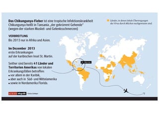 Chikungunya: Die Viruserkrankung aus den Tropen