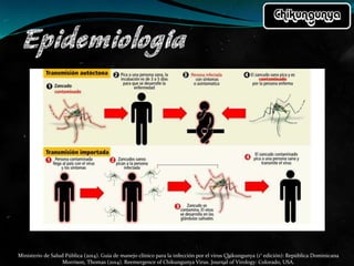 Ministerio de Salud Pública (2014). Guía de manejo clínico para la infección por el virus Chikungunya (1° edición): República Dominicana
Morrison, Thomas (2014). Reemergence of Chikungunya Virus. Journal of Virology: Colorado, USA.
 