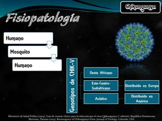 Ministerio de Salud Pública (2014). Guía de manejo clínico para la infección por el virus Chikungunya (1° edición): República Dominicana
Morrison, Thomas (2014). Reemergence of Chikungunya Virus. Journal of Virology: Colorado, USA.
 