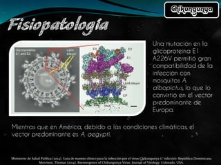 Ministerio de Salud Pública (2014). Guía de manejo clínico para la infección por el virus Chikungunya (1° edición): República Dominicana
Morrison, Thomas (2014). Reemergence of Chikungunya Virus. Journal of Virology: Colorado, USA.
 
