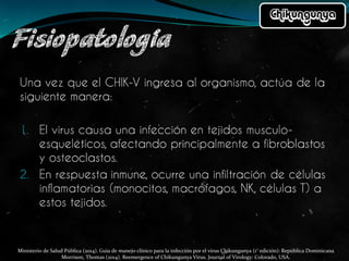Ministerio de Salud Pública (2014). Guía de manejo clínico para la infección por el virus Chikungunya (1° edición): República Dominicana
Morrison, Thomas (2014). Reemergence of Chikungunya Virus. Journal of Virology: Colorado, USA.
 