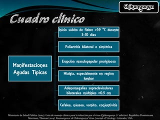Ministerio de Salud Pública (2014). Guía de manejo clínico para la infección por el virus Chikungunya (1° edición): República Dominicana
Morrison, Thomas (2014). Reemergence of Chikungunya Virus. Journal of Virology: Colorado, USA.
 