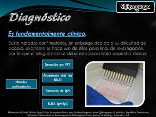 Ministerio de Salud Pública (2014). Guía de manejo clínico para la infección por el virus Chikungunya (1° edición): República Dominicana
Morrison, Thomas (2014). Reemergence of Chikungunya Virus. Journal of Virology: Colorado, USA.
 