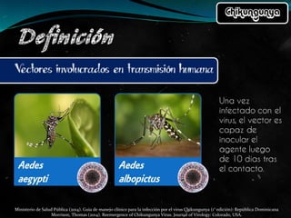 Ministerio de Salud Pública (2014). Guía de manejo clínico para la infección por el virus Chikungunya (1° edición): República Dominicana
Morrison, Thomas (2014). Reemergence of Chikungunya Virus. Journal of Virology: Colorado, USA.
 