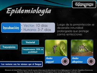 Ministerio de Salud Pública (2014). Guía de manejo clínico para la infección por el virus Chikungunya (1° edición): República Dominicana
Morrison, Thomas (2014). Reemergence of Chikungunya Virus. Journal of Virology: Colorado, USA.
 