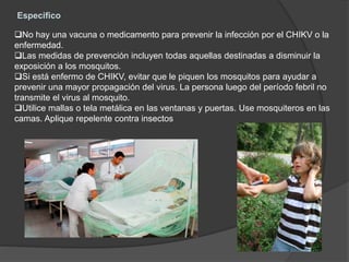 Especifico
No hay una vacuna o medicamento para prevenir la infección por el CHIKV o la
enfermedad.
Las medidas de prevención incluyen todas aquellas destinadas a disminuir la
exposición a los mosquitos.
Si está enfermo de CHIKV, evitar que le piquen los mosquitos para ayudar a
prevenir una mayor propagación del virus. La persona luego del período febril no
transmite el virus al mosquito.
Utilice mallas o tela metálica en las ventanas y puertas. Use mosquiteros en las
camas. Aplique repelente contra insectos
 