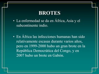 BROTES
• La enfermedad se da en África, Asia y el
subcontinente indio.
• En África las infecciones humanas han sido
relativamente escasas durante varios años,
pero en 1999-2000 hubo un gran brote en la
República Democrática del Congo, y en
2007 hubo un brote en Gabón.
 