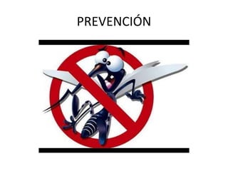 PREVENCIÓN
 