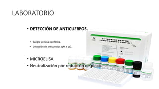 LABORATORIO
• DETECCIÓN DE ANTICUERPOS.
• Sangre venosa periférica.
• Detección de anticuerpos IgM e IgG.
• MICROELISA.
• Neutralización por reducción de placa.
 