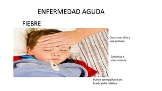 ENFERMEDAD AGUDA
FIEBRE
Continua e
intermitente
Dura unos días a
una semana
Puede acompañarse de
bradicardia relativa
 