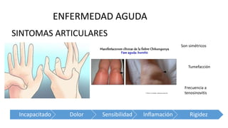 SINTOMAS ARTICULARES
ENFERMEDAD AGUDA
Son simétricos
Tumefacción
Frecuencia a
tenosinovitis
Incapacitado Dolor Sensibilidad Inflamación Rigidez
 