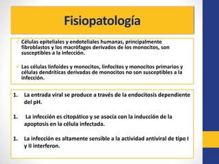 Fisiopatología
 Células epiteliales y endoteliales humanas, principalmente
fibroblastos y los macrófagos derivados de los monocitos, son
susceptibles a la infección.
 Las células linfoides y monocitos, linfocitos y monocitos primarios y
células dendríticas derivadas de monocitos no son susceptibles a la
infección.
1. La entrada viral se produce a través de la endocitosis dependiente
del pH.
1. La infección es citopático y se asocia con la inducción de la
apoptosis en la célula infectada.
1. La infección es altamente sensible a la actividad antiviral de tipo I
y II interferon.
 