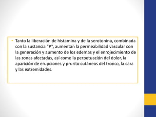 • Tanto la liberación de histamina y de la serotonina, combinada
con la sustancia “P“, aumentan la permeabilidad vascular con
la generación y aumento de los edemas y el enrojecimiento de
las zonas afectadas, así como la perpetuación del dolor, la
aparición de erupciones y prurito cutáneos del tronco, la cara
y las extremidades.
 