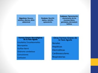 Digestivos: Nausea,
vómitos, diarrea, dolor
abdominal
Oculares: Neuritis
óptica, retinitis,
epiescleritis
Cutáneos: Pigmentación,
ulceraciones de las
mucosas (boca,
genitales), dermatosis
bullosa
Formas Graves Neurológicas
de la Fase Aguda
Encefalitis/ Encefalomielitis
Neuropatías
Guillian Barré
Síndrome cerebeloso
Convulsiones
Confusion
Otras Formas Graves de
la Fase Aguda
Renales
Hepáticas
Electrolíticas
Cardiovasculares
Respiratorias
 