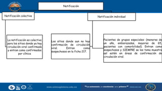 Notificación
Notificación colectiva
La notificación es colectiva
para los sitios donde ya hay
circulación viral confirmada
y entran como confirmados
por clínica
Notificación individual
Los sitios donde aun no hay
confirmación de circulación
viral. Entran como
sospechosos en la ficha 217.
Pacientes de grupos especiales: (menores de
un año, embarazadas, mayores de 65,
pacientes con comorbilidad). Entran como
sospechosos y SIEMPRE se les toma muestra
así estén en áreas de confirmación de
circulación viral.
 