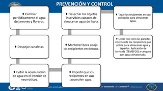 PREVENCIÓN Y CONTROL
♦ Cambiar
periódicamente el agua
de jarrones y floreros.
♦ Despejar canaletas.
♦ Evitar la acumulación
de agua en el interior de
neumáticos.
♦ Impedir que los
recipientes en uso
acumulen agua.
♦ Mantener boca abajo
los recipientes en desuso.
♦ Desechar los objetos
inservibles capaces de
almacenar agua de lluvia.
♦ Tapar los recipientes en uso
utilizados para almacenar
agua.
♦ Untar con cloro las paredes
internas de los recipientes que
utiliza para almacenar agua y
taparlos. Aplicación de
larvicida (TEMEFOS) a tanques
con agua almacenada.
 