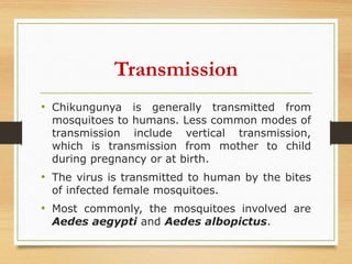 Transmission
• Chikungunya is generally transmitted from
mosquitoes to humans. Less common modes of
transmission include vertical transmission,
which is transmission from mother to child
during pregnancy or at birth.
• The virus is transmitted to human by the bites
of infected female mosquitoes.
• Most commonly, the mosquitoes involved are
Aedes aegypti and Aedes albopictus.
 