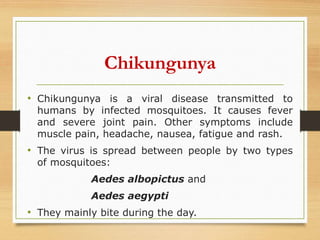 Chikungunya
• Chikungunya is a viral disease transmitted to
humans by infected mosquitoes. It causes fever
and severe joint pain. Other symptoms include
muscle pain, headache, nausea, fatigue and rash.
• The virus is spread between people by two types
of mosquitoes:
Aedes albopictus and
Aedes aegypti
• They mainly bite during the day.
 