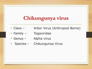 Chikungunya virus
• Class – Arbor Virus (Arthropod Borne)
• Family – Togaviridae
• Genus – Alpha virus
• Species – Chikungunya Virus
 
