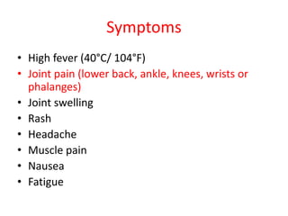 Symptoms
• High fever (40°C/ 104°F)
• Joint pain (lower back, ankle, knees, wrists or
phalanges)
• Joint swelling
• Rash
• Headache
• Muscle pain
• Nausea
• Fatigue
 