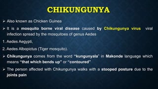 CHIKUNGUNYA
 Also known as Chicken Guinea
 It is a mosquito borne viral disease caused by Chikungunya virus viral
infection spread by the mosquitoes of genus Aedes
1. Aedes Aegypti,
2. Aedes Albopictus (Tiger mosquito).
 Chikungunya comes from the word “kungunyala” in Makonde language which
means “that which bends up” or “contoured”
 The person affected with Chikungunya walks with a stooped posture due to the
joints pain
 
