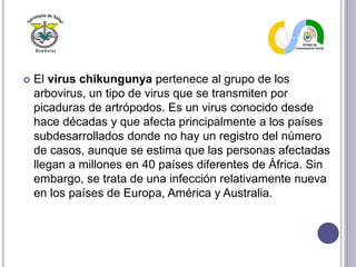  El virus chikungunya pertenece al grupo de los
arbovirus, un tipo de virus que se transmiten por
picaduras de artrópodos. Es un virus conocido desde
hace décadas y que afecta principalmente a los países
subdesarrollados donde no hay un registro del número
de casos, aunque se estima que las personas afectadas
llegan a millones en 40 países diferentes de África. Sin
embargo, se trata de una infección relativamente nueva
en los países de Europa, América y Australia.
 