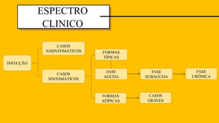 ESPECTRO
CLINICO
FASE
AGUDA
FORMAS
TÍPICAS
CASOS
ASSINTOMÁTICOS
INFECÇÃO
FASE
SUBAGUDA
FORMAS
ATÍPICAS
CASOS
SINTOMÁTICOS
CASOS
GRAVES
FASE
CRÔNICA
 