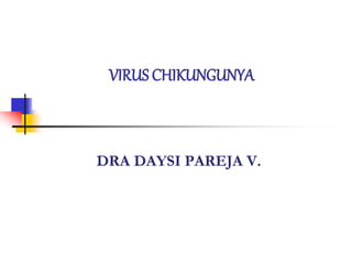 DRA DAYSI PAREJA V.
VIRUS CHIKUNGUNYA
 