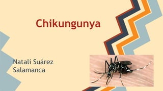 Chikungunya 
Natali Suárez 
Salamanca 
 