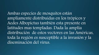 Ambas especies de mosquitos están 
ampliamente distribuidas en los trópicos y 
Aedes Albopictus también esta presente en 
latitudes mas templadas. Dada la amplia 
distribución de estos vectores en las Américas, 
toda la región es susceptible a la invasión y la 
diseminación del virus. 
 