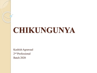 CHIKUNGUNYA
Kashish Agrawaal
2nd Professional
Batch 2020
 