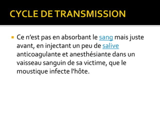  Ce n’est pas en absorbant le sang mais juste
avant, en injectant un peu de salive
anticoagulante et anesthésiante dans un
vaisseau sanguin de sa victime, que le
moustique infecte l'hôte.
 