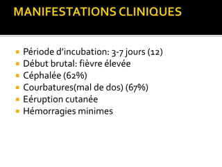  Période d’incubation: 3-7 jours (12)
 Début brutal: fièvre élevée
 Céphalée (62%)
 Courbatures(mal de dos) (67%)
 Eéruption cutanée
 Hémorragies minimes
 