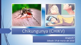 Chikungunya (CHIKV)
Grupo # 7
Sábado 19 de marzo del 2016
 
