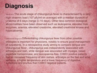 Diagnosis
VIRAEMIA:The acute stage of chikungunya fever is characterised by a very
high viraemic load (107 pfu/ml on average) with a median duration of
viraemia of 6 days (range 3–10 days). Other less common biological
abnormalities have been observed such as leukopenia, elevated liver
enzymes, anemia, elevated creatinine, elevated creatinine kinase and
hypocalcemia.
Differential diagnosis:Differentiating chikungunya fever from other possible
etiologies is important for physicians, notably to ensure good management
of outpatients. In a retrospective study aiming to compare dengue and
chikungunya fever , chikungunya was independently associated with
arthralgia and rash, while dengue was associated with myalgia, raised
aspartate transaminase, and leucopaenia.Also, CHIKV positive patients
had an increased frequency of skin rashes, arthralgia on the feet and wrist,
asthenia, a higher temperature and a lower frequency of digestive
symptoms and pruritus than CHIKV negative patients.
 