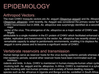 EPIDEMIOLOGY
Arthropod Vectors:
The main CHIKV mosquito vectors are Ae. aegypti (Stegomya aegypti) and Ae. Albopict
(Stegomya albopicta). Until recently, Ae. Aegypti was considered the primary vector for
CHIKV transmission but in 2006, Ae. albopictus was surprisingly identified as a second
major
vector of the virus. This emergence of Ae. albopictus as a major vector of CHIKV was
largely
attributable to a single mutation in the E1 protein of CHIKV which facilitated enhanced v
uptake, replication and transmission by the vector. Ae. albopictus has recently shown a
remarkable capacity to adapt to peridomestic environments, enabling it to displace Ae.
aegypti in some places and to become a significant vector of CHIKV.
Vertebrate reservoirs and transmission
Human beings serve as reservoir hosts for the virus during epidemic periods whereas d
inter-epidemic periods, several other reservoir hosts have been incriminated such as
monkeys,
rodents and birds. In Asia, CHIKV is maintained in human-mosquito-human urban cycles
involving both Ae. aegypti and Ae. albopictus. In Africa, CHIKV is maintained in a sylva
cycle Involving wild non-human primates and a variety of forest-dwelling mosquito
species such as Ae. africanus in Uganda and Bangui and Ae. cordellieri in South Africa.
 