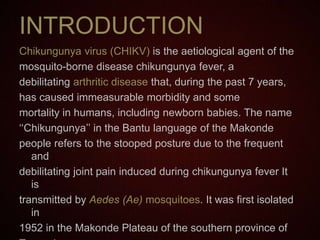 INTRODUCTION
Chikungunya virus (CHIKV) is the aetiological agent of the
mosquito-borne disease chikungunya fever, a
debilitating arthritic disease that, during the past 7 years,
has caused immeasurable morbidity and some
mortality in humans, including newborn babies. The name
‘‘Chikungunya’’ in the Bantu language of the Makonde
people refers to the stooped posture due to the frequent
and
debilitating joint pain induced during chikungunya fever It
is
transmitted by Aedes (Ae) mosquitoes. It was first isolated
in
1952 in the Makonde Plateau of the southern province of
 