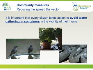 16
Community measures
Reducing the spread the vector
It is important that every citizen takes action to avoid water
gathering in containers in the vicinity of their home
 