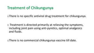 Chikungunya | PPTX
