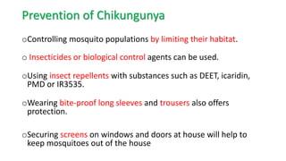 Chikungunya prevention 2024